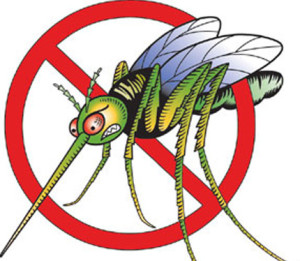 mosquito-clipart-6